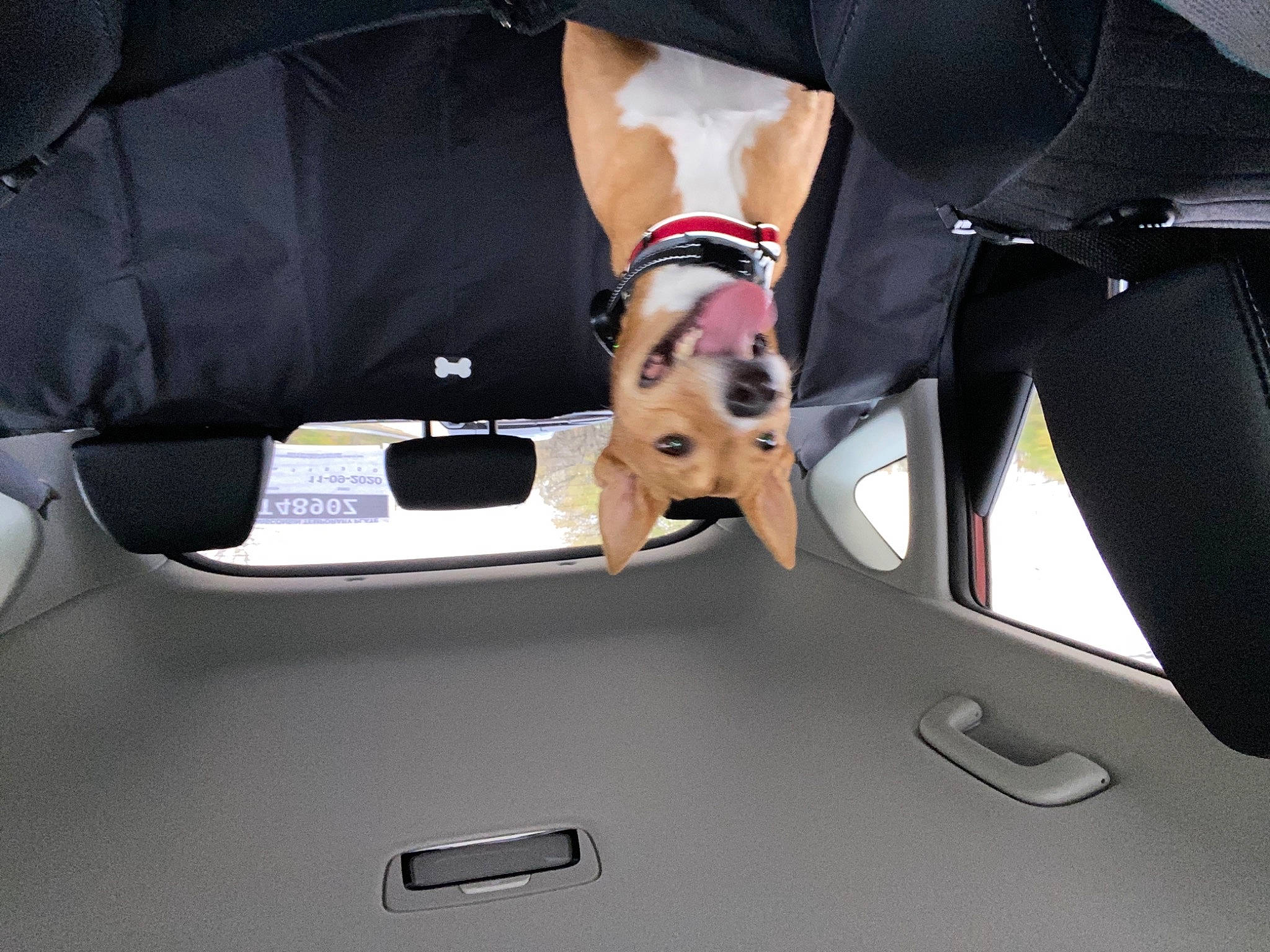 Foxy joined the competition — help win amazing prizes! auto_part, automotive_design, automotive_exterior, automotive_lighting, automotive_tire, automotive_window_part, bumper, car, car_seat, family_car, hood, human_leg, luxury_vehicle, motor_vehicle, personal_luxury_car, sleeve, trunk, vehicle, vehicle_door, windshield