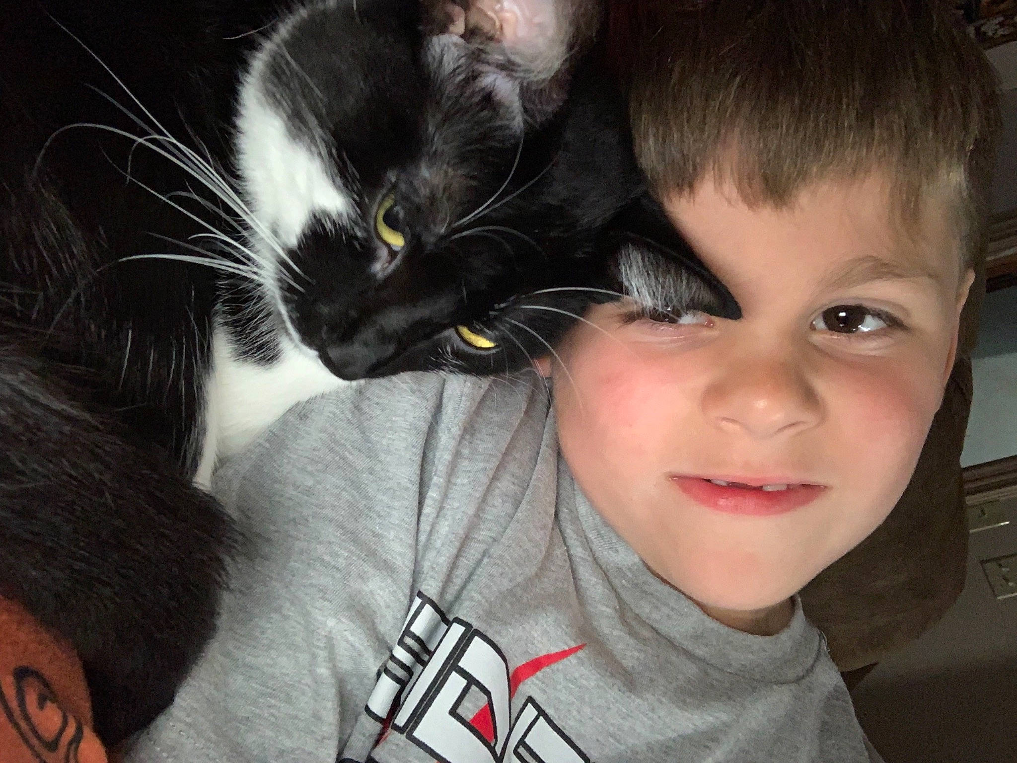 Gabriel is registered to the contest to win money with this photo: black_hair, carnivore, cat, cheek, ear, eyebrow, eyelash, felidae, gesture, happy, iris, jaw, joy, mammal, mouth, nose, person, skin, small_to_medium_sized_cats, t_shirt