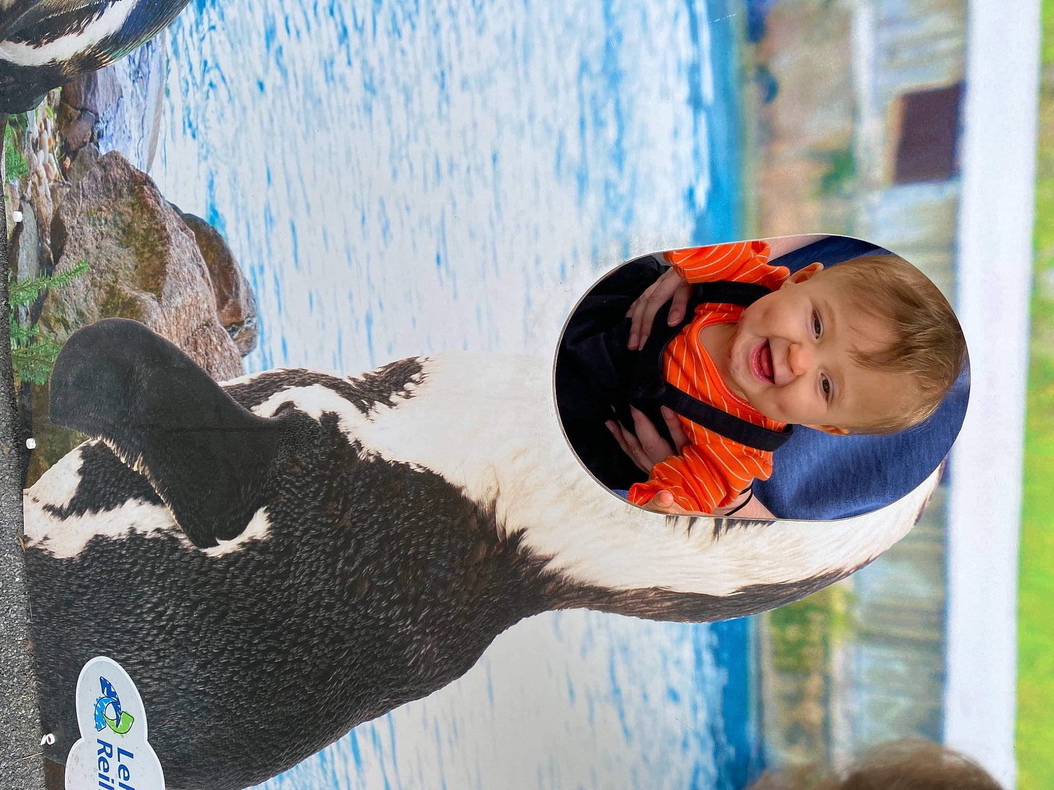 Veronica is registered to the contest to win money with this photo: azure, baby, blue, child, fun, happy, jacket, leisure, macaw, people_in_nature, person, personal_protective_equipment, plant, recreation, smile, toddler, tree, vacation, water, window