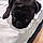 Charlie