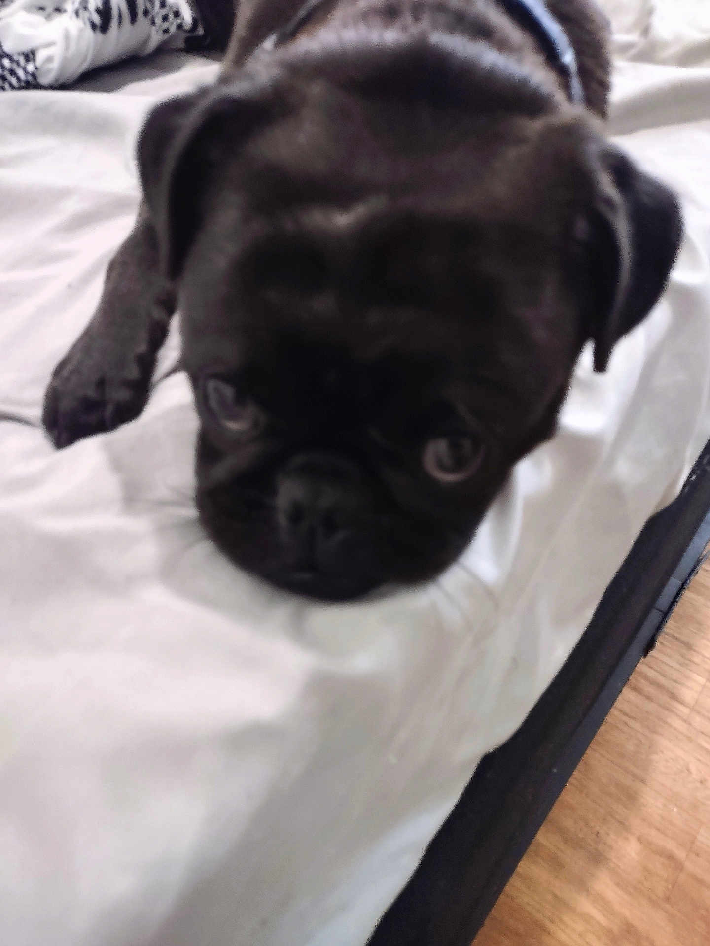 Charlie