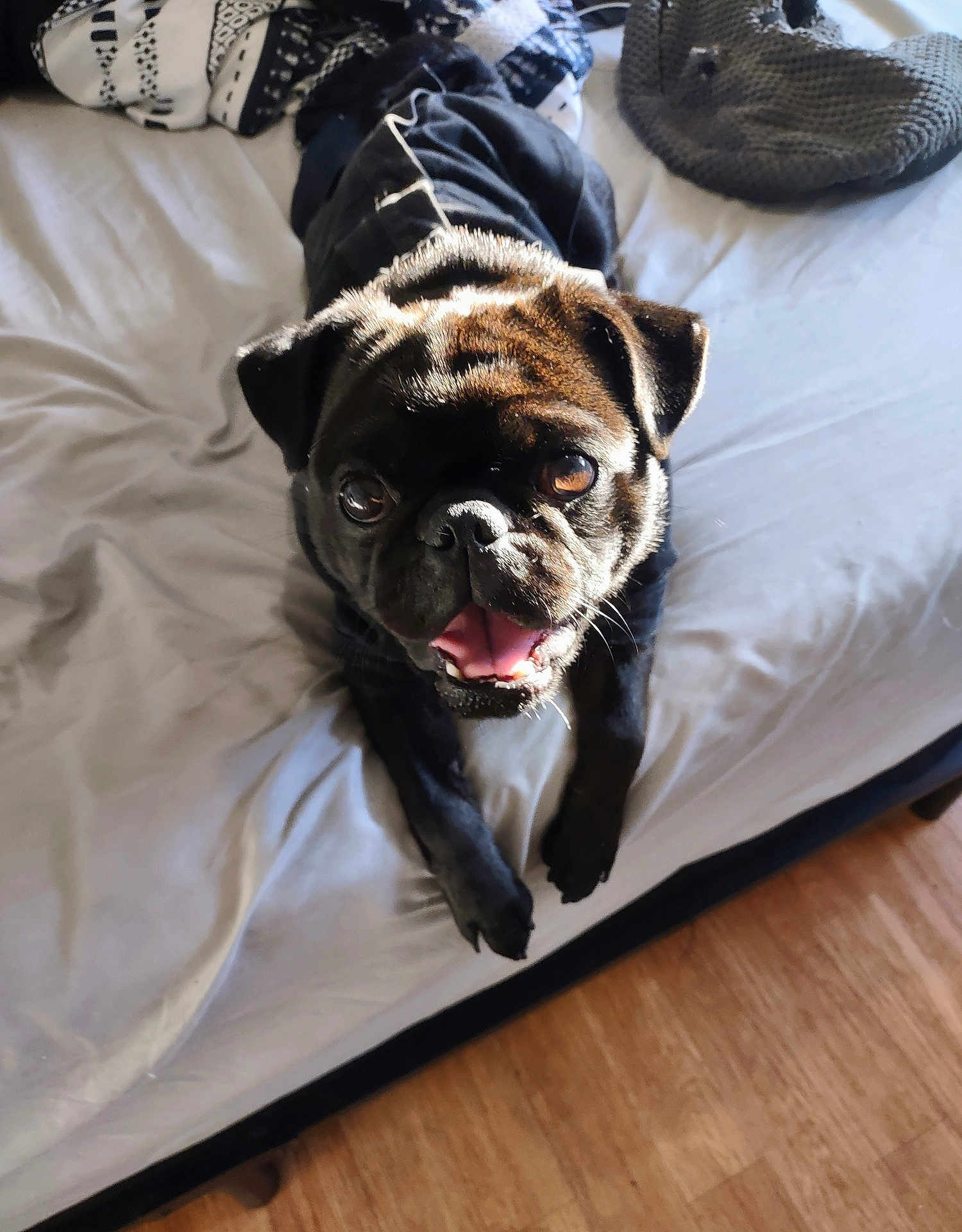 Charlie