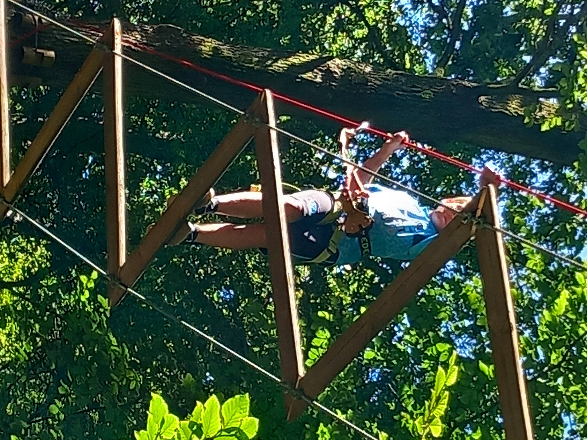 Bastien participe au concours pour gagner de l'argent avec cette photo : forest, fun, grass, jungle, leisure, metal, people_in_nature, person, plant, pole, recreation, shade, terrestrial_plant, tree
