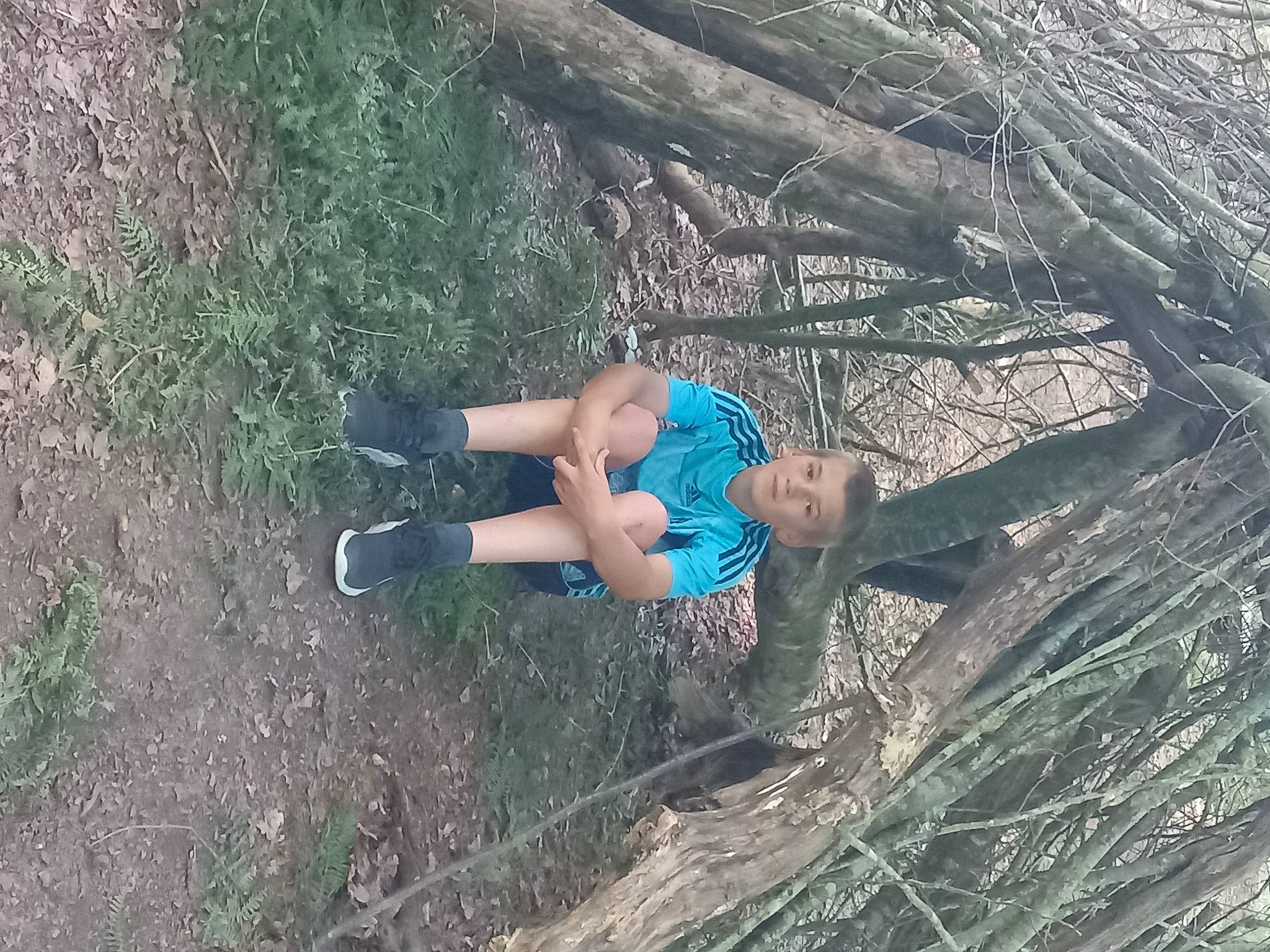 Bastien participe au concours pour gagner de l'argent avec cette photo : adventure, electric_blue, forest, fun, grass, human_leg, jungle, landscape, leisure, people_in_nature, person, plant, recreation, rock, soil, thigh, tree, trunk, wood, woodland