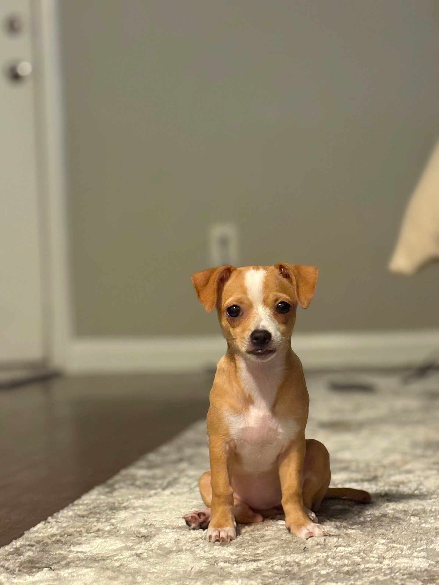 Chloe