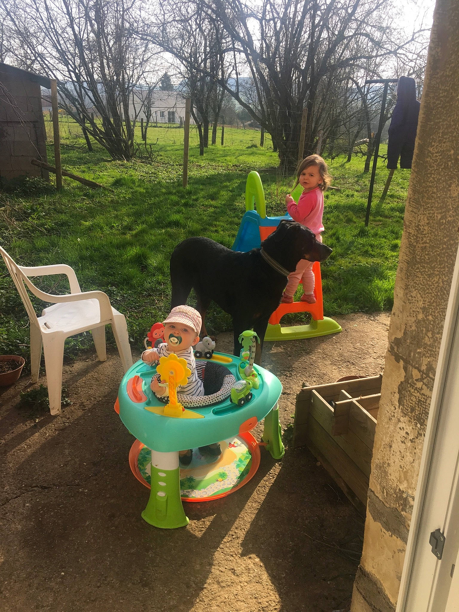 Amy participe au concours pour gagner de l'argent avec cette photo : carnivore, companion_dog, dog, dog_breed, fun, garden, grass, headwear, house, lawn, leaf, leisure, outdoor_bench, outdoor_furniture, outdoor_play_equipment, person, plant, recreation, sitting, table