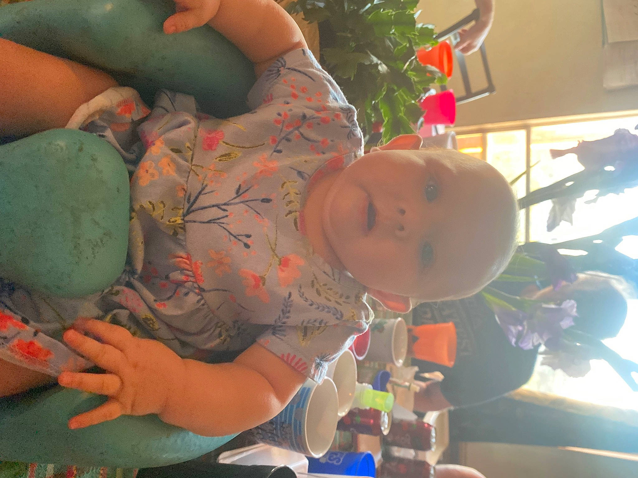 Scarlett is registered to the contest to win money with this photo: abdomen, arm, baby, barechested, blurred, chest, child, elbow, flowerpot, fun, green, houseplant, human_leg, leisure, mouth, organism, person, plant, room, thigh