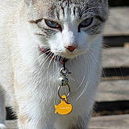 Asia is registered to the contest to win money with this photo: