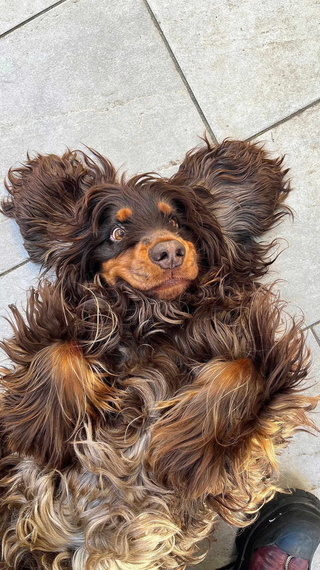 Floky