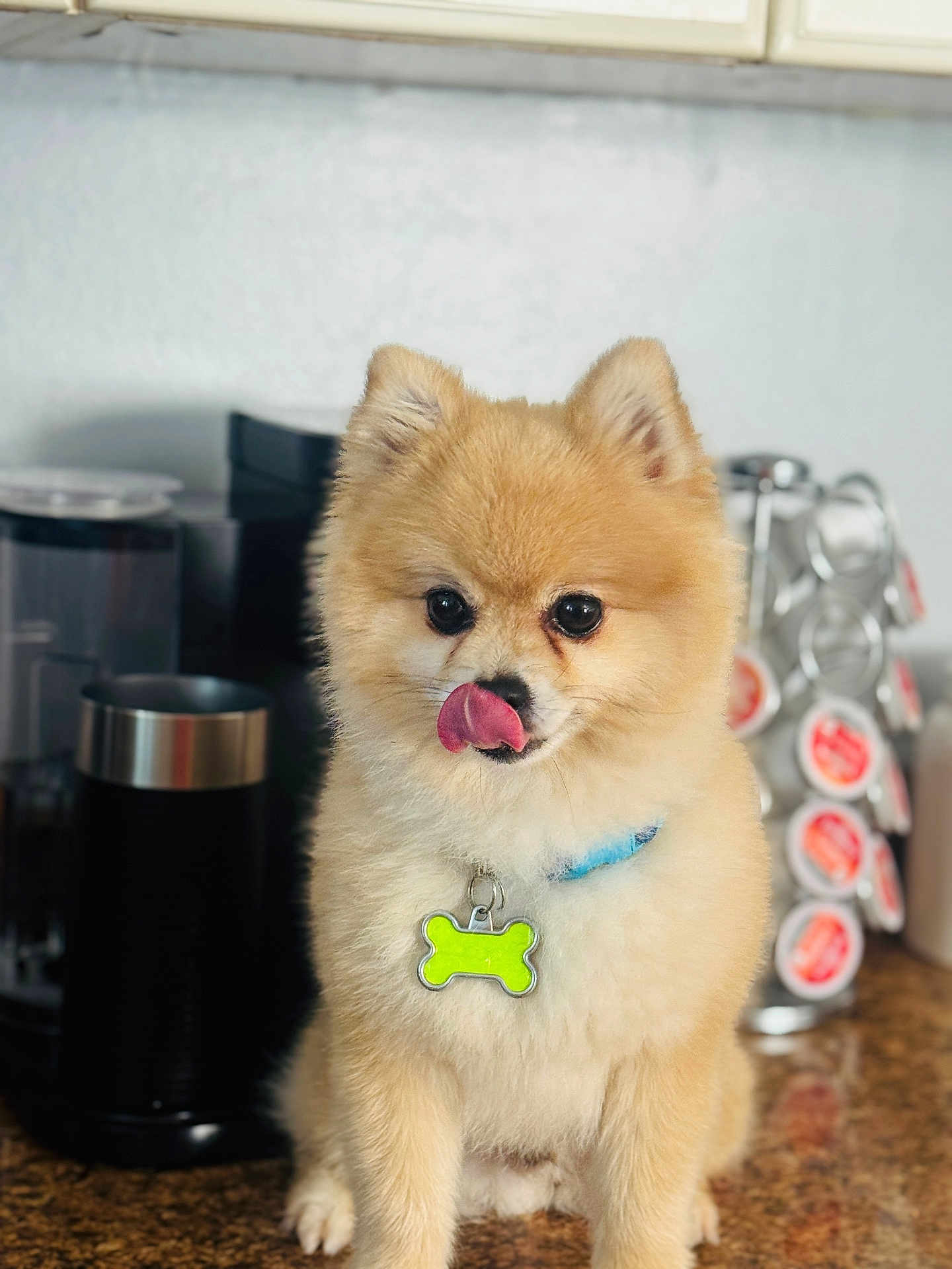 Lio