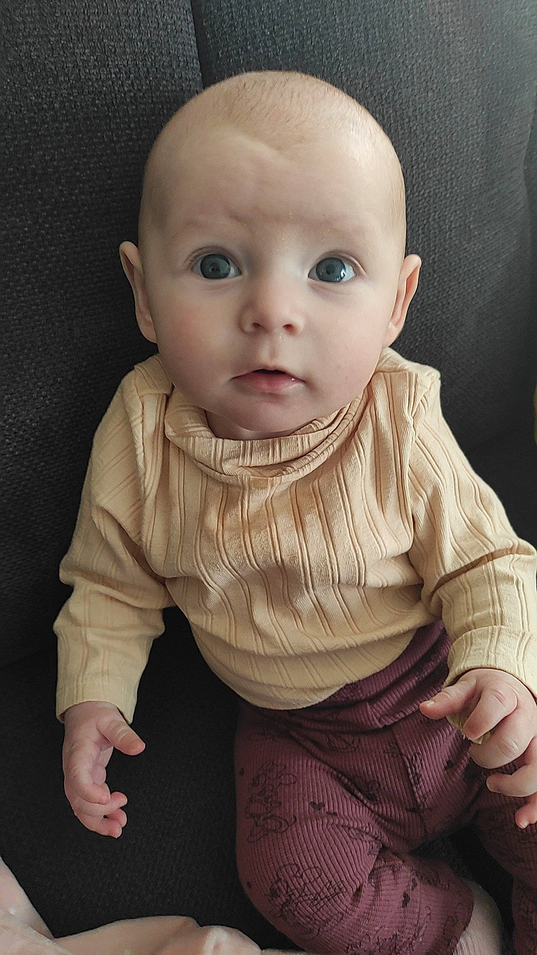 Sofia a rejoint le concours — aidez-le/la à gagner de superbes lots ! baby, baby_toddler_clothing, cheek, child, collar, comfort, eyelash, flash_photography, fur, grey, human_body, iris, lip, mouth, nose, person, sitting, skin, sleeve, toddler