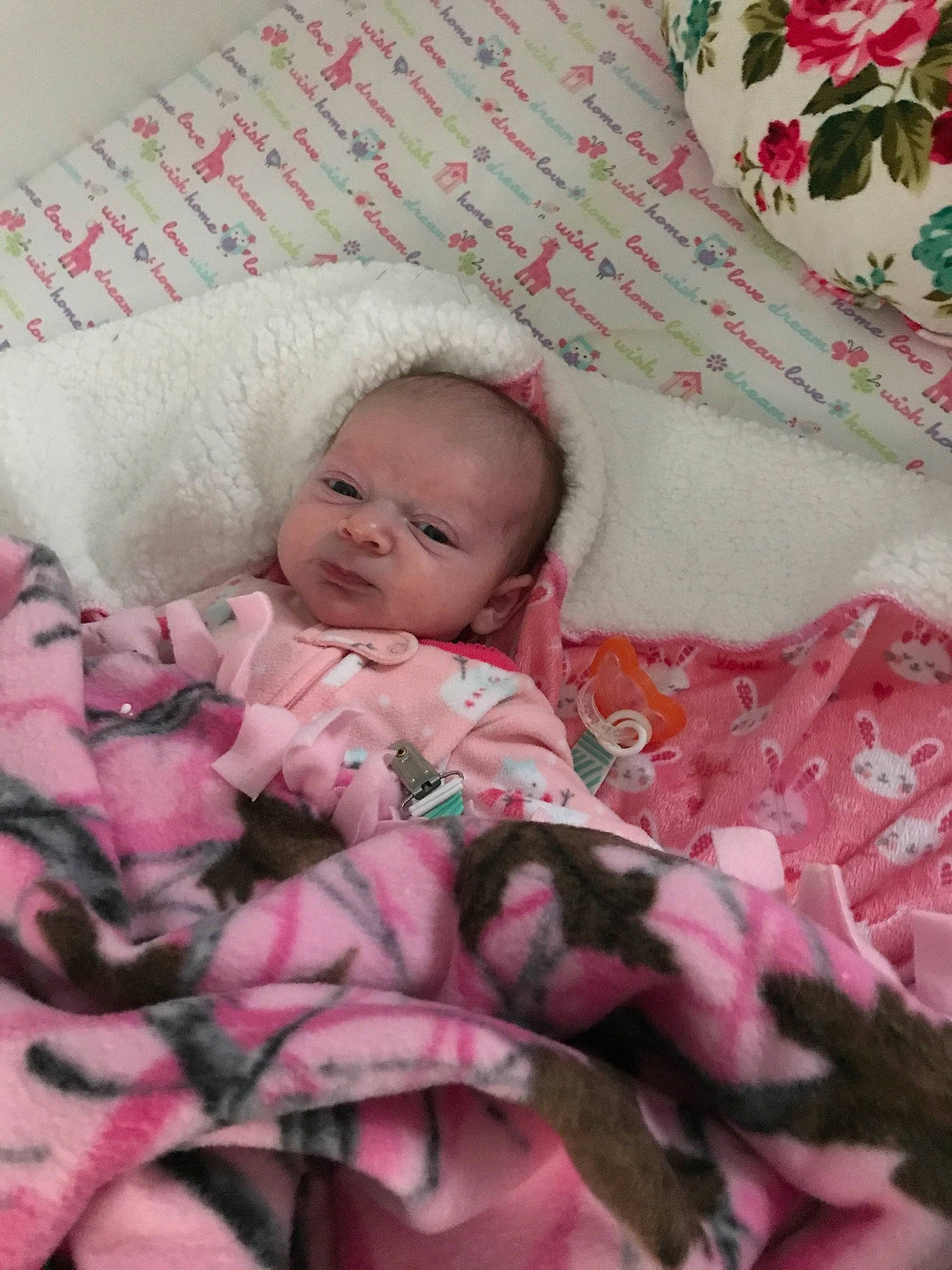 Ashtyn is registered to the contest to win money with this photo: baby, bedding, bedtime, blanket, cheek, child, linens, nap, person, pink, skin, sleep, textile, toddler