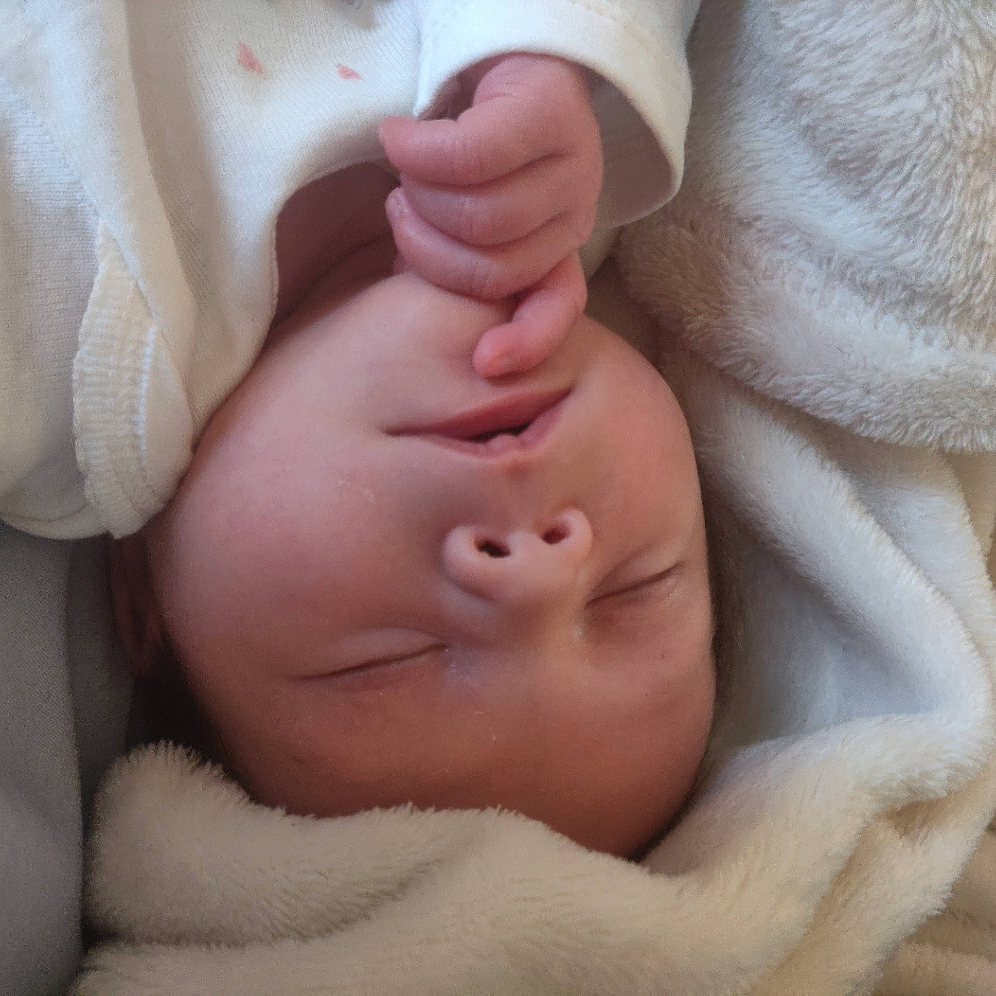 Anavi joined the competition — help win amazing prizes! baby, baby_sleeping, cheek, child, close_up, face, finger, flesh, gesture, hand, lip, mouth, muscle, nail, nose, person, skin, sleep, stomach, thumb