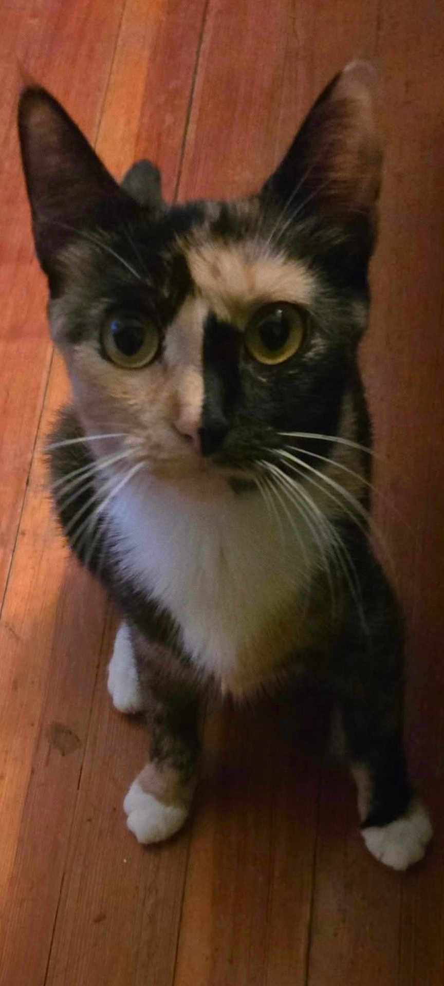 Marbles