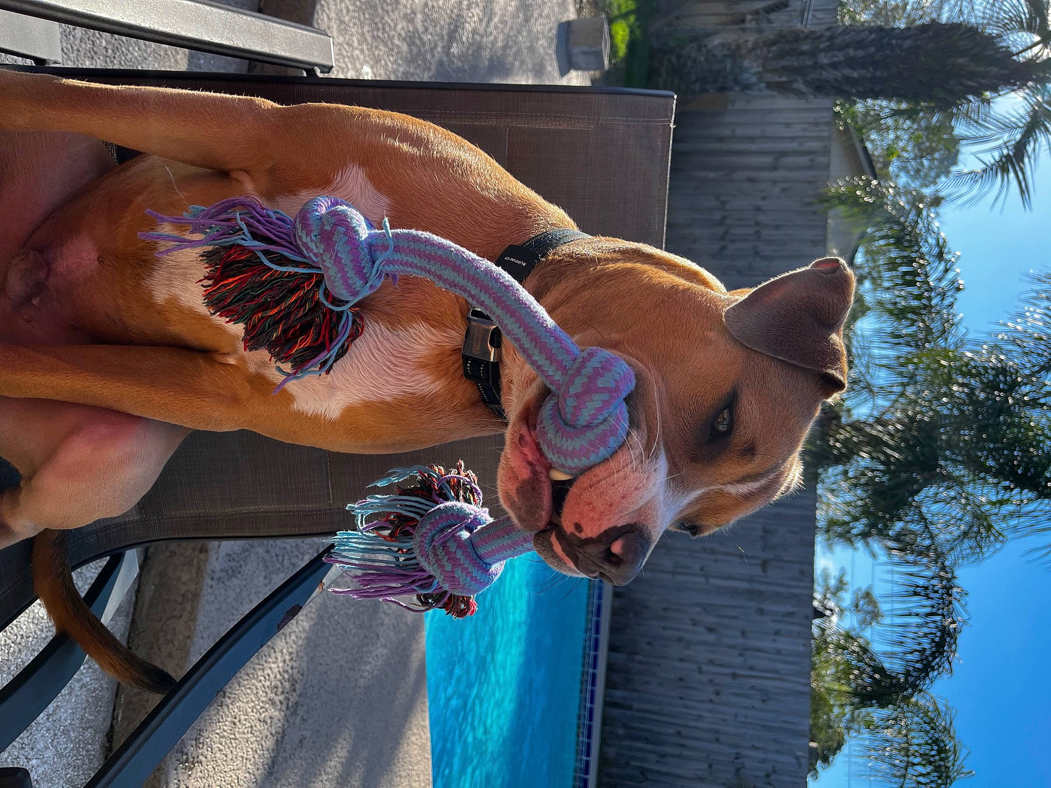 Arlo James joined the competition — help win amazing prizes! art, chest, elbow, fawn, flesh, fun, gesture, hand, human_leg, leisure, organism, sculpture, sky, statue, thumb, tree, visual_arts, water, wood, wrist