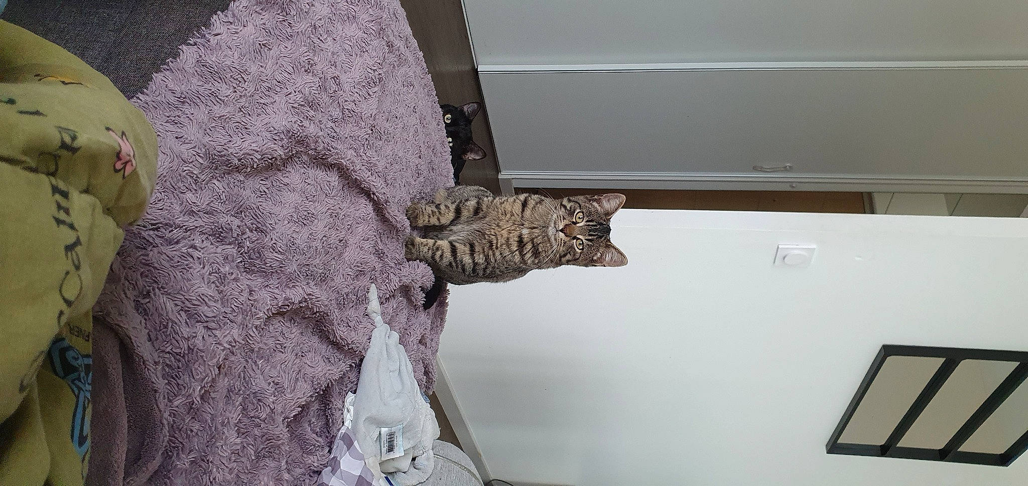 Toby participe au concours pour gagner de l'argent avec cette photo : art, artifact, building, carving, ceiling, classical_sculpture, flooring, house, molding, monument, plant, plaster, relief, rock, room, sculpture, statue, tree, visual_arts, wood