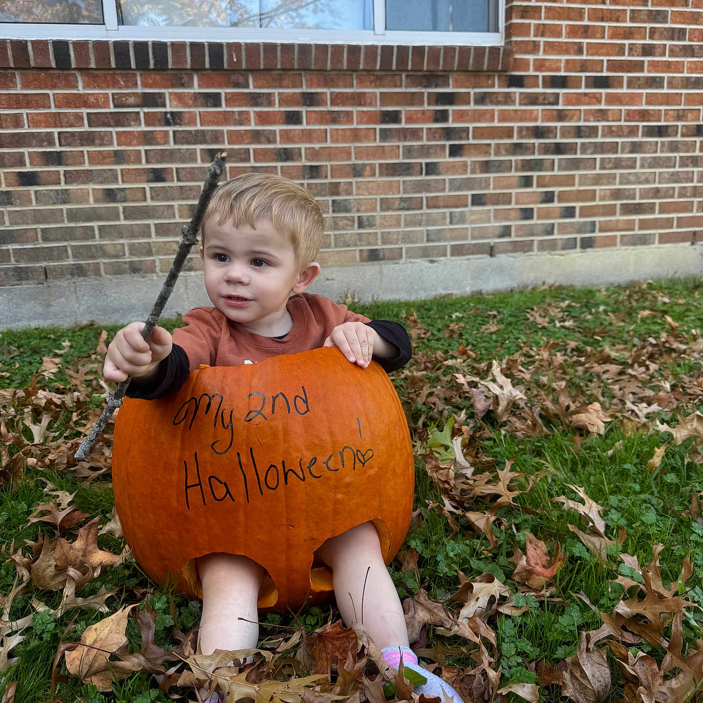 Kolton is registered to the contest to win money with this photo: boy, brick, child, face, food, grass, head, leaf, male, person, photography, plant, portrait, produce, pumpkin, soil, squash, sword, vegetable, weapon