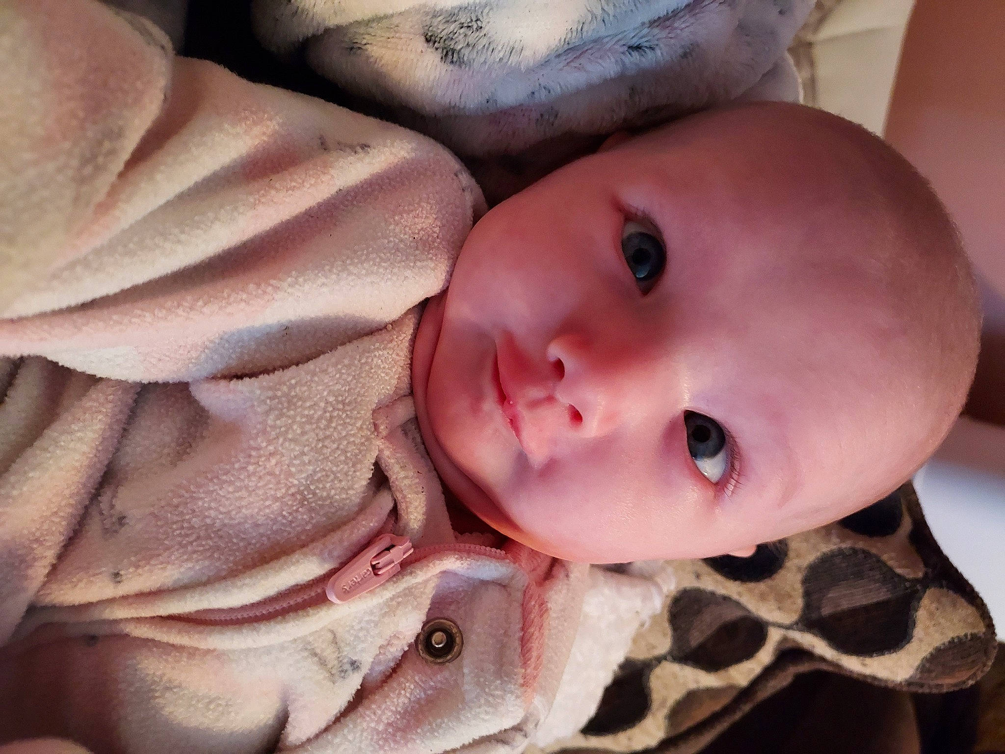 Lilyana is registered to the contest to win money with this photo: baby, baby_toddler_clothing, cheek, chin, comfort, eye, eyebrow, face, facial_expression, head, human_body, iris, lip, mouth, nose, person, skin, sleeve, smile, textile