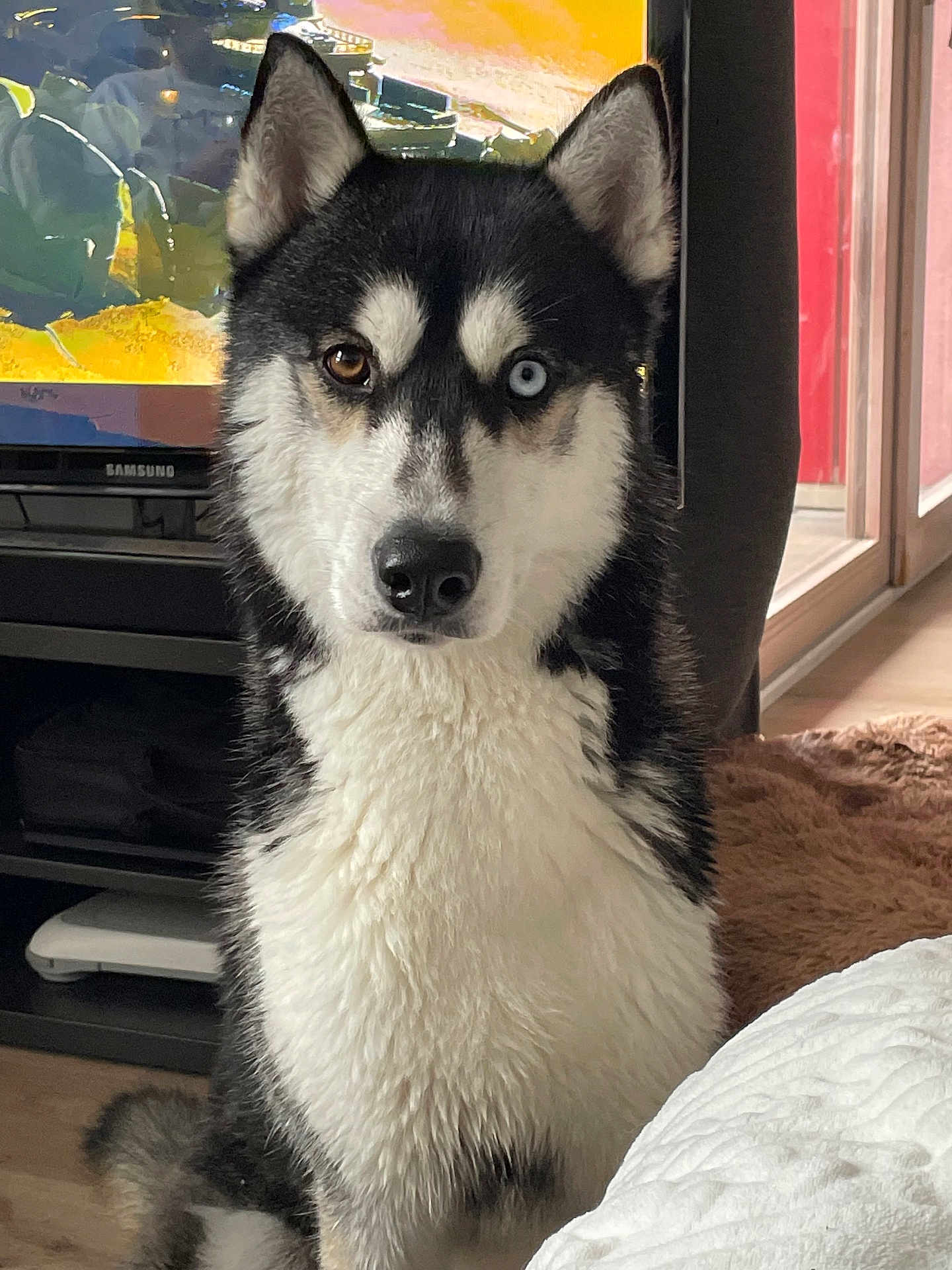 Rasko