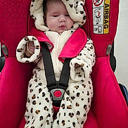 Lyanna participe au concours pour gagner de l'argent avec cette photo : baby, infant, car_seat, red, clothing, onesie, animal_print, hood, face, child, seatbelt, safety, cute, indoor, portrait, young_child, baby_clothes, seat, baby_boy, baby_girl