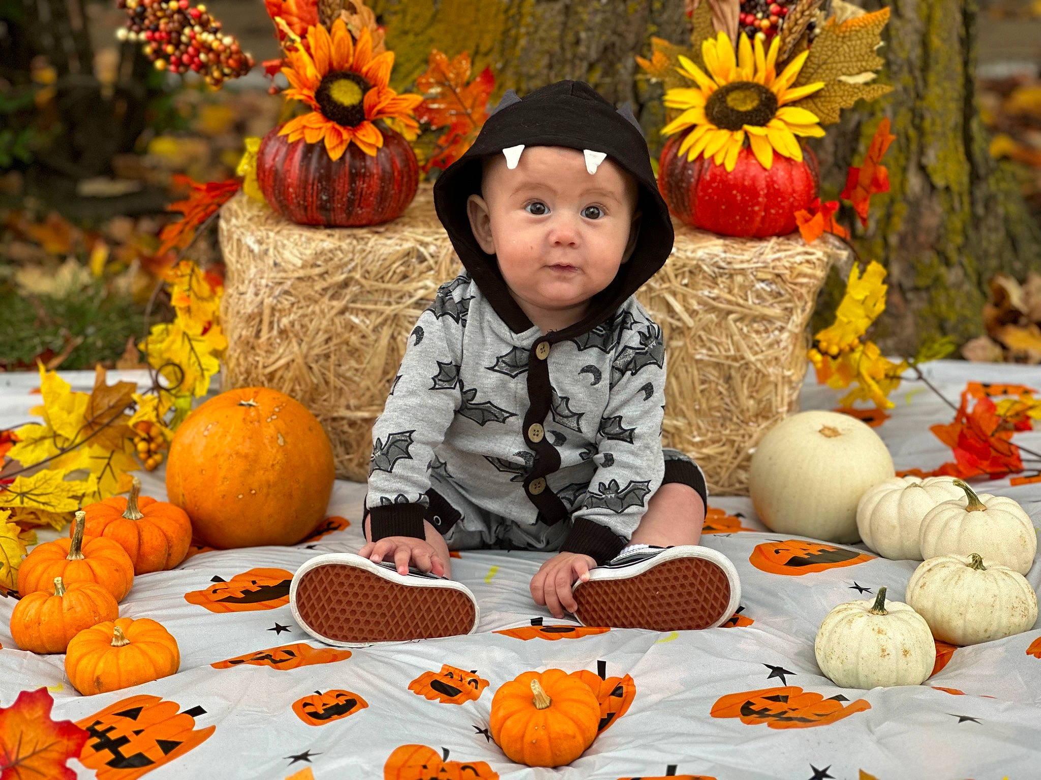 Rhiatt is registered to the contest to win money with this photo: calabaza, child, cucurbita, flower, gourd, grass, happy, headwear, leaf, local_food, natural_foods, orange, people_in_nature, person, plant, pumpkin, smile, squash, toddler, vegetable