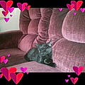 Charlene S.