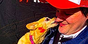 Emmy Lou is registered to the contest to win money with this photo: dog, person, hat, denim_jacket, pink_collar, face_paint, smiling, licking, nose, leash, hand, outdoor, banner, text, red, white, black_background, closeup, friendship, happy