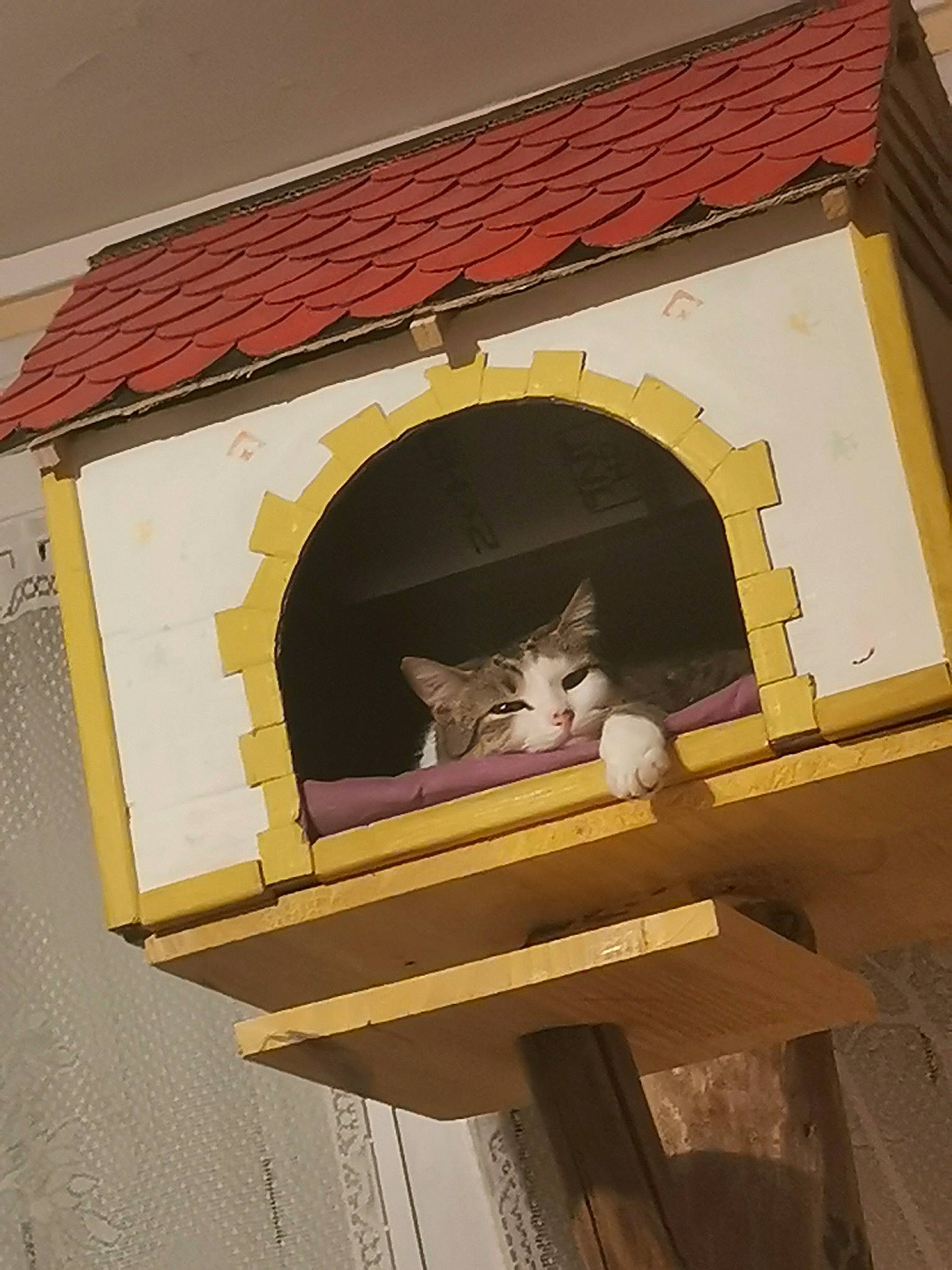 Kira participe au concours pour gagner de l'argent avec cette photo : art, brick, brickwork, building, carnivore, cat, facade, felidae, house, pet_supply, rectangle, roof, room, small_to_medium_sized_cats, tail, tints_and_shades, vertebrate, whiskers, window, wood