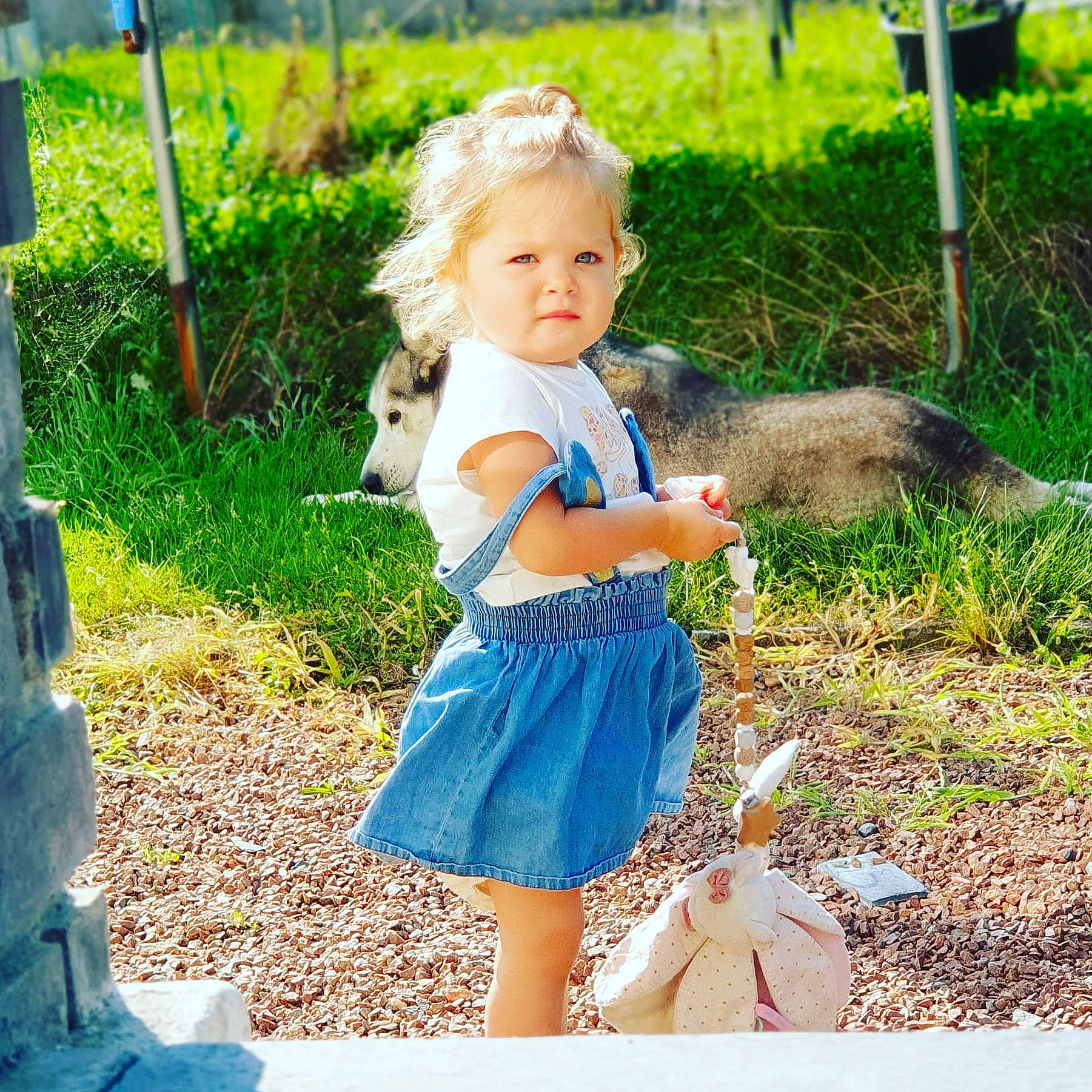 Maëlya participe au concours pour gagner de l'argent avec cette photo : baby_toddler_clothing, botany, child, day_dress, electric_blue, fawn, garden, grass, happy, long_hair, pattern, people_in_nature, person, photograph, plant, sitting, sleeve, snapshot, street_fashion, toddler