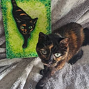 Mia participe au concours pour gagner de l'argent avec cette photo : cat, tortoiseshell_cat, painting, art, blanket, fluffy, green_eyes, animal, pet, curious, portrait, indoor, feline, texture, closeup, colorful, background, cozy, soft, companion