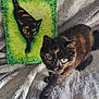 cat, tortoiseshell_cat, painting, art, blanket, fluffy, green_eyes, animal, pet, curious, portrait, indoor, feline, texture, closeup, colorful, background, cozy, soft, companion