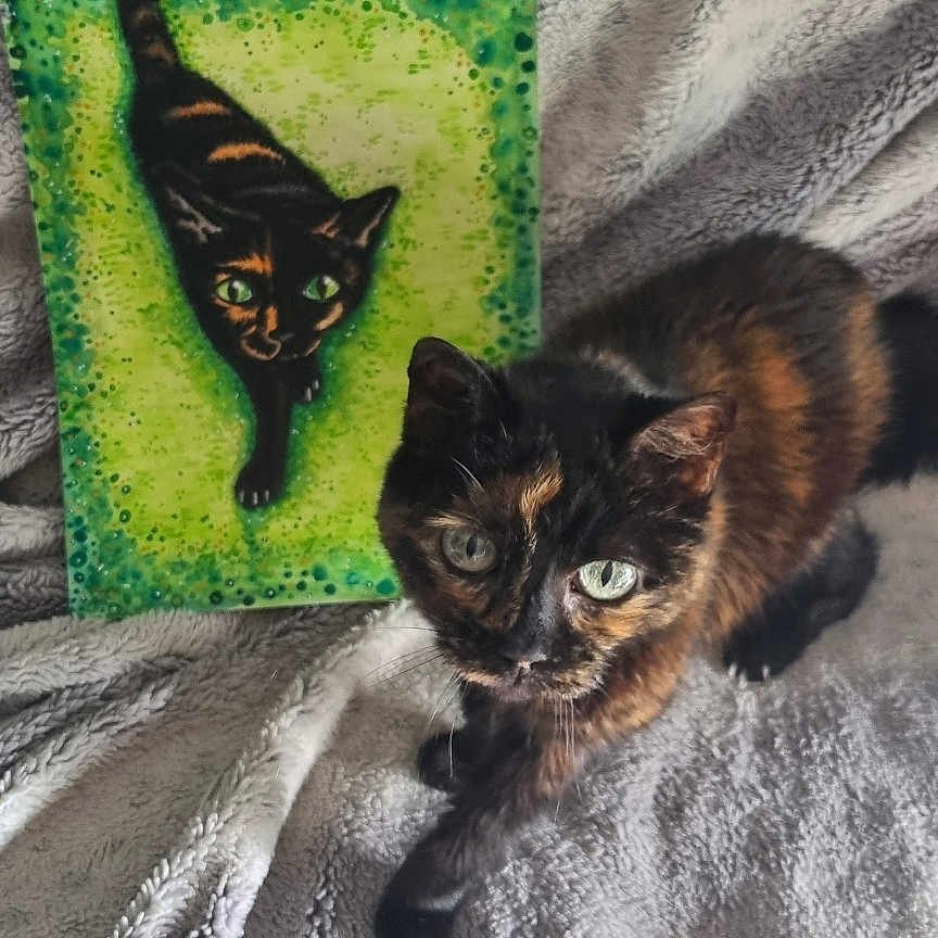 Mia participe au concours pour gagner de l'argent avec cette photo : animal, art, background, blanket, cat, closeup, colorful, companion, cozy, curious, feline, fluffy, green_eyes, indoor, painting, pet, portrait, soft, texture, tortoiseshell_cat