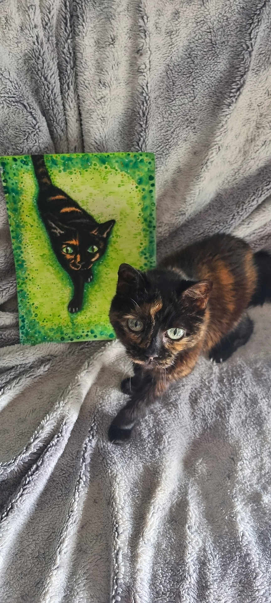 Mia participe au concours pour gagner de l'argent avec cette photo : cat, tortoiseshell_cat, painting, art, blanket, fluffy, green_eyes, animal, pet, curious, portrait, indoor, feline, texture, closeup, colorful, background, cozy, soft, companion