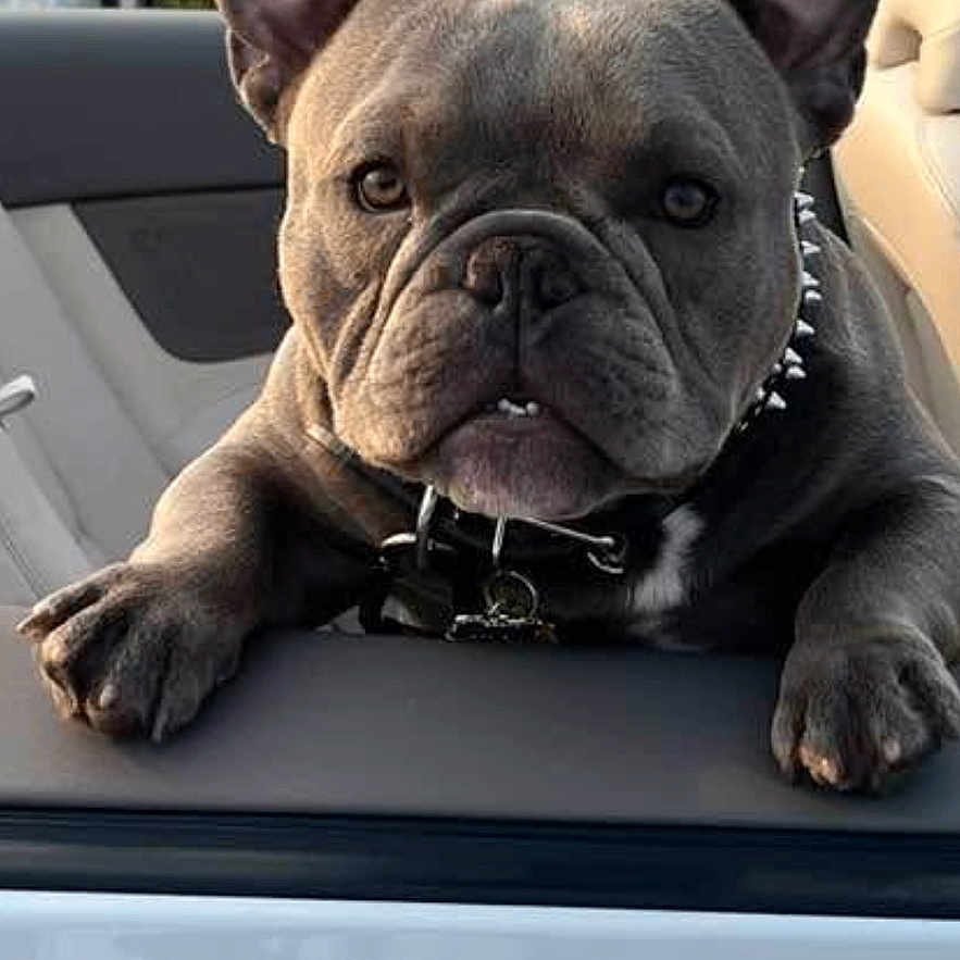 King Zeus