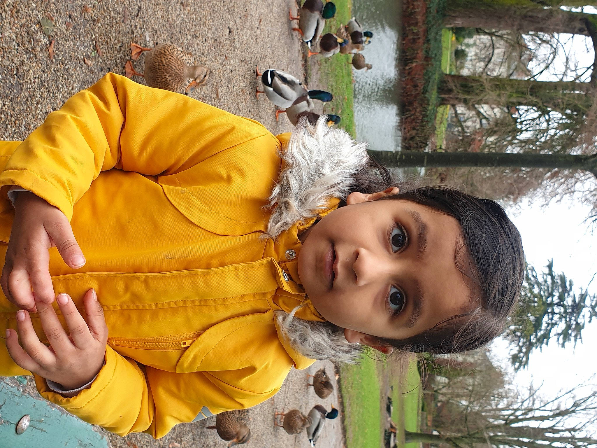 Nila a rejoint le concours — aidez-le/la à gagner de superbes lots ! child, fun, grass, happy, leisure, mammal, people_in_nature, person, photograph, photography, plant, sitting, snapshot, toddler, tree, vacation, winter, wood, yellow