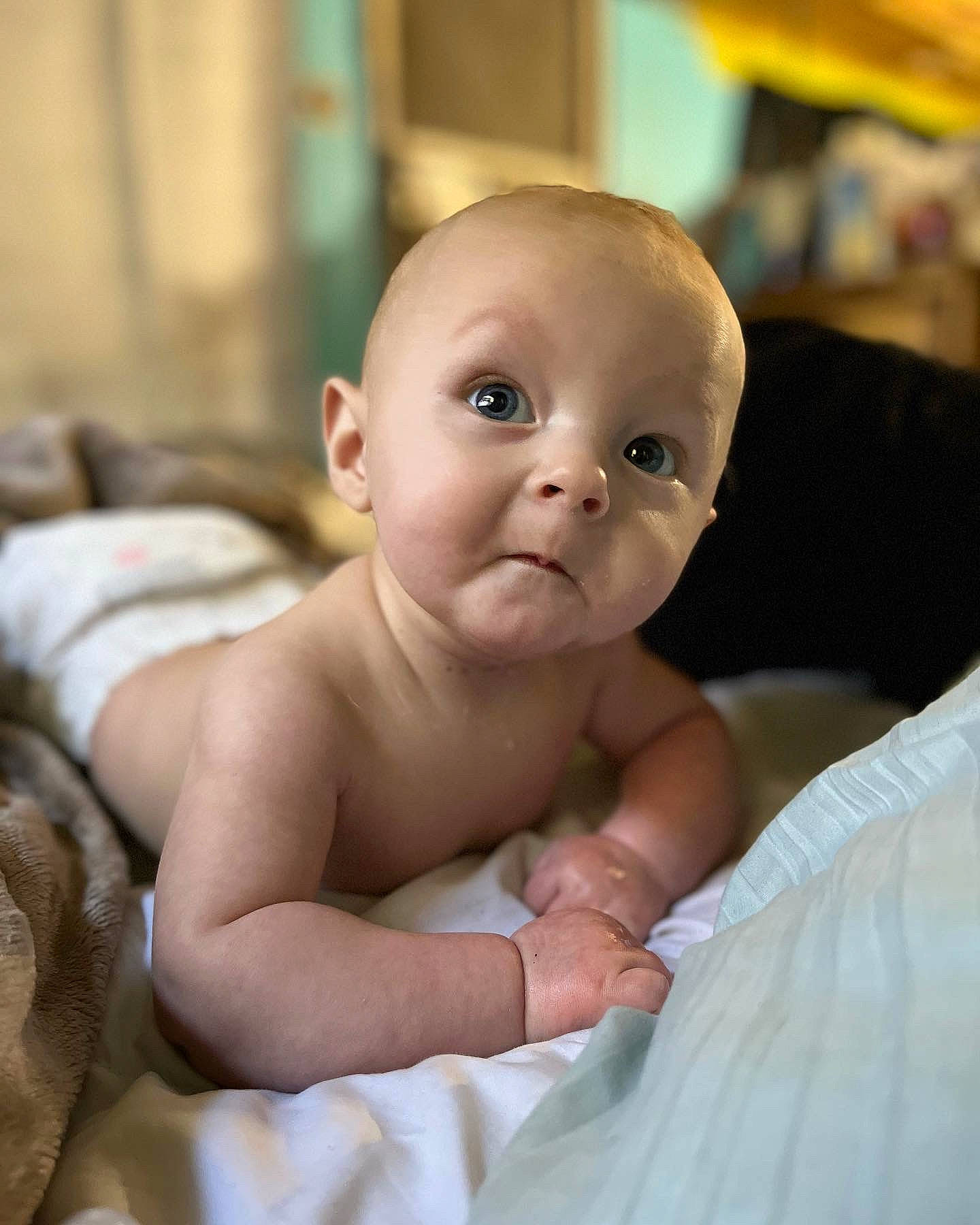 Atlas joined the competition — help win amazing prizes! abdomen, baby, cheek, chest, child, comfort, event, eye, face, fun, happy, head, iris, linens, mammal, person, room, sitting, skin, surprise
