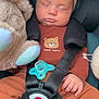 baby, bear, bow, car_seat, child, clothing, cute, face, hands, headband, indoors, infant, pacifier, peaceful, portrait, resting, safety, seatbelt, sleeping, stuffed_animal