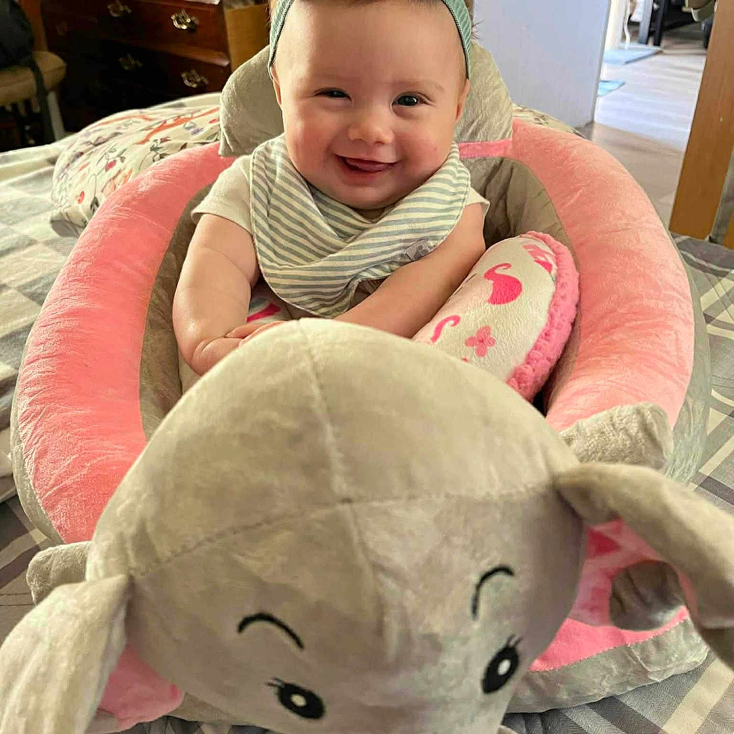 Camryn joined the competition — help win amazing prizes! baby, smiling, headband, bow, plush_toy, elephant, baby_seat, pink, gray, indoor, furniture, wooden, cozy, child, happy, cute, portrait, infant, toy, home
