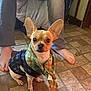Gizmo is registered to the contest to win money with this photo: dog, small_dog, scarf, sweater, tile_floor, person, bare_feet, legs, indoor, pet, cute, brown_dog, canine, cozy, home, flooring, resting, looking, animal, companion