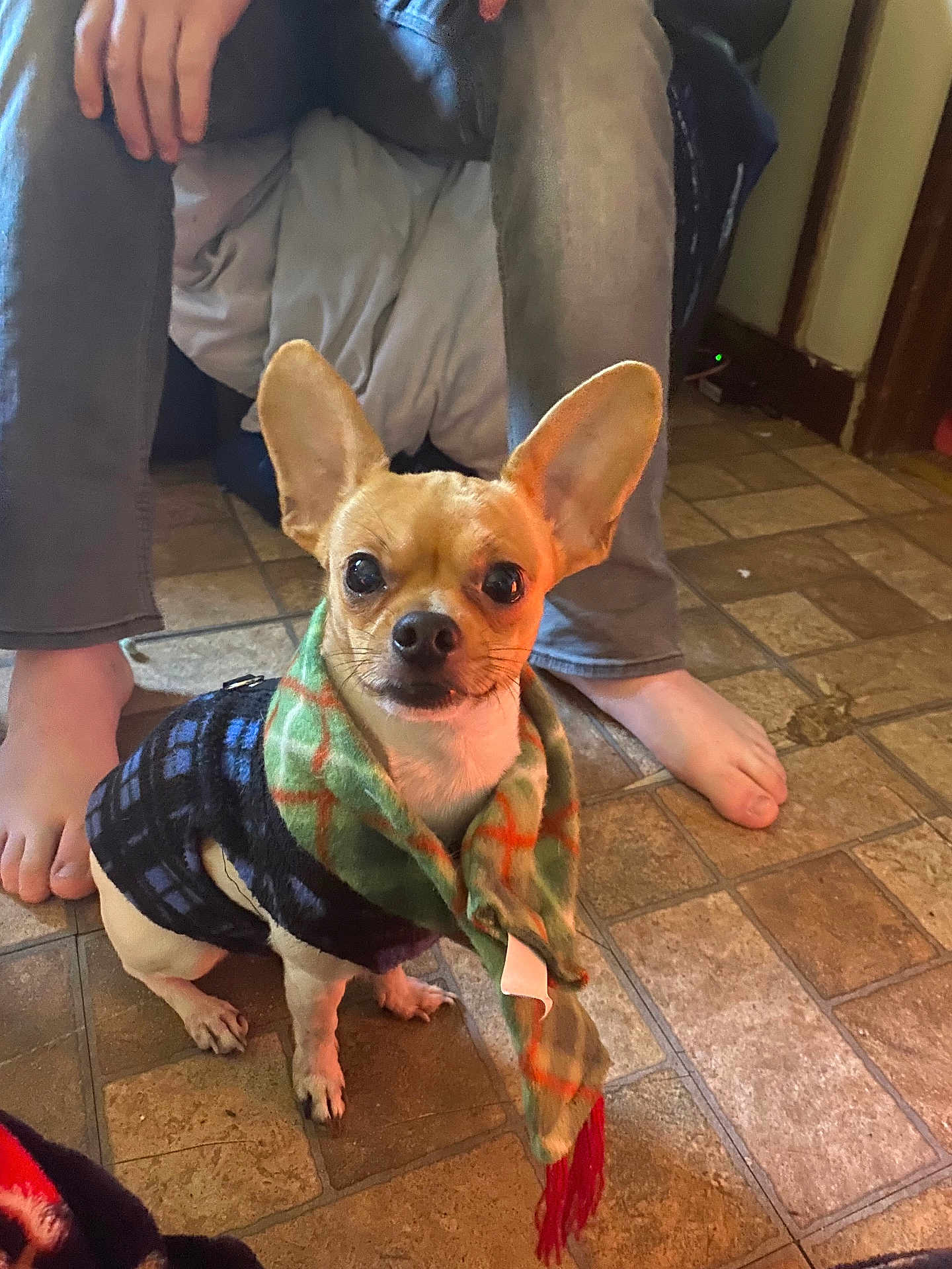 Gizmo