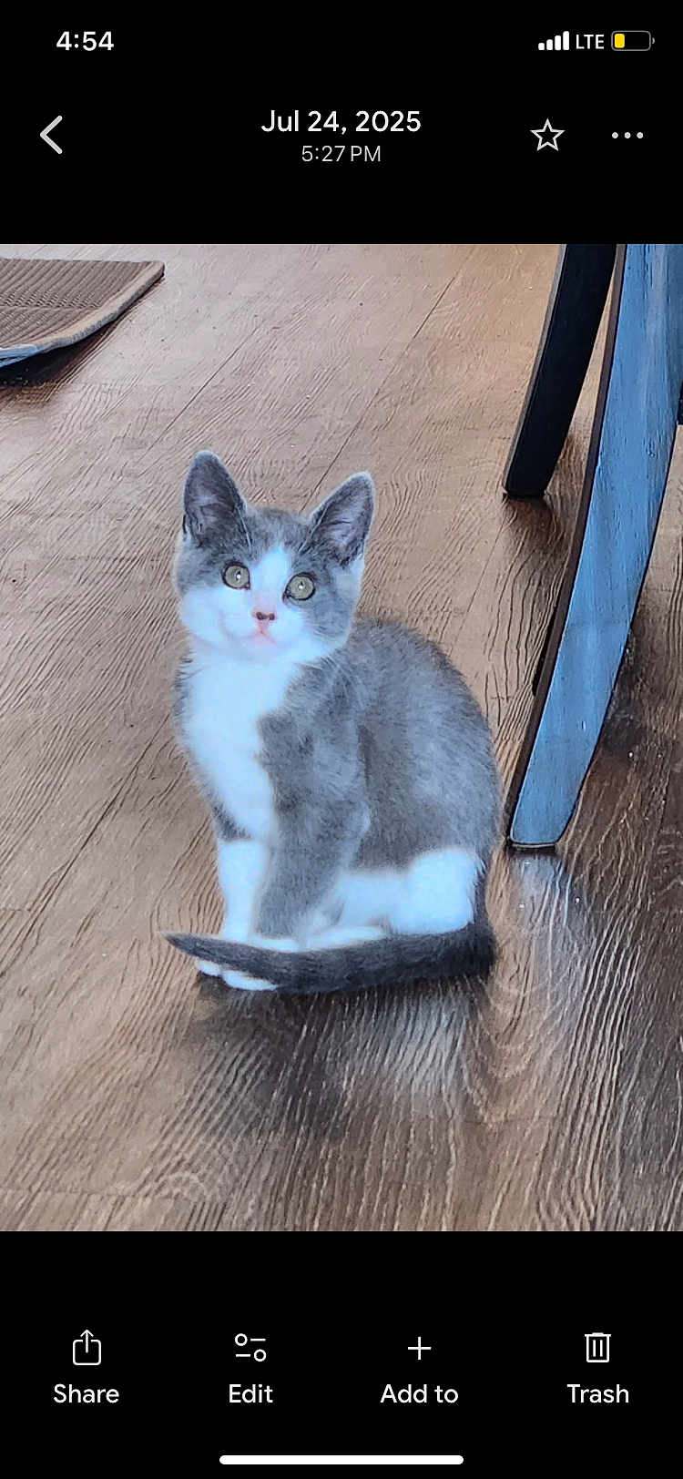Luna