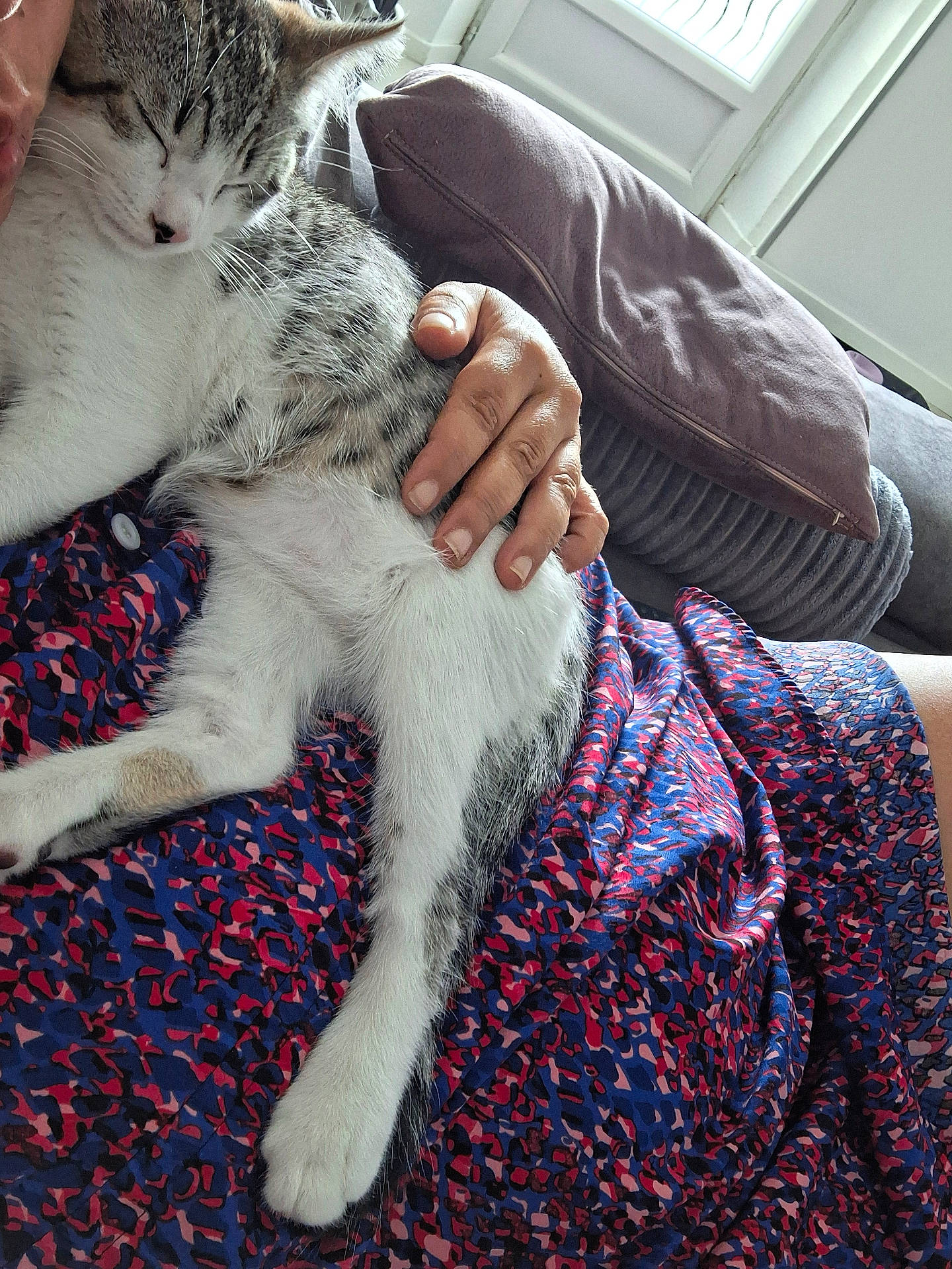 Milo