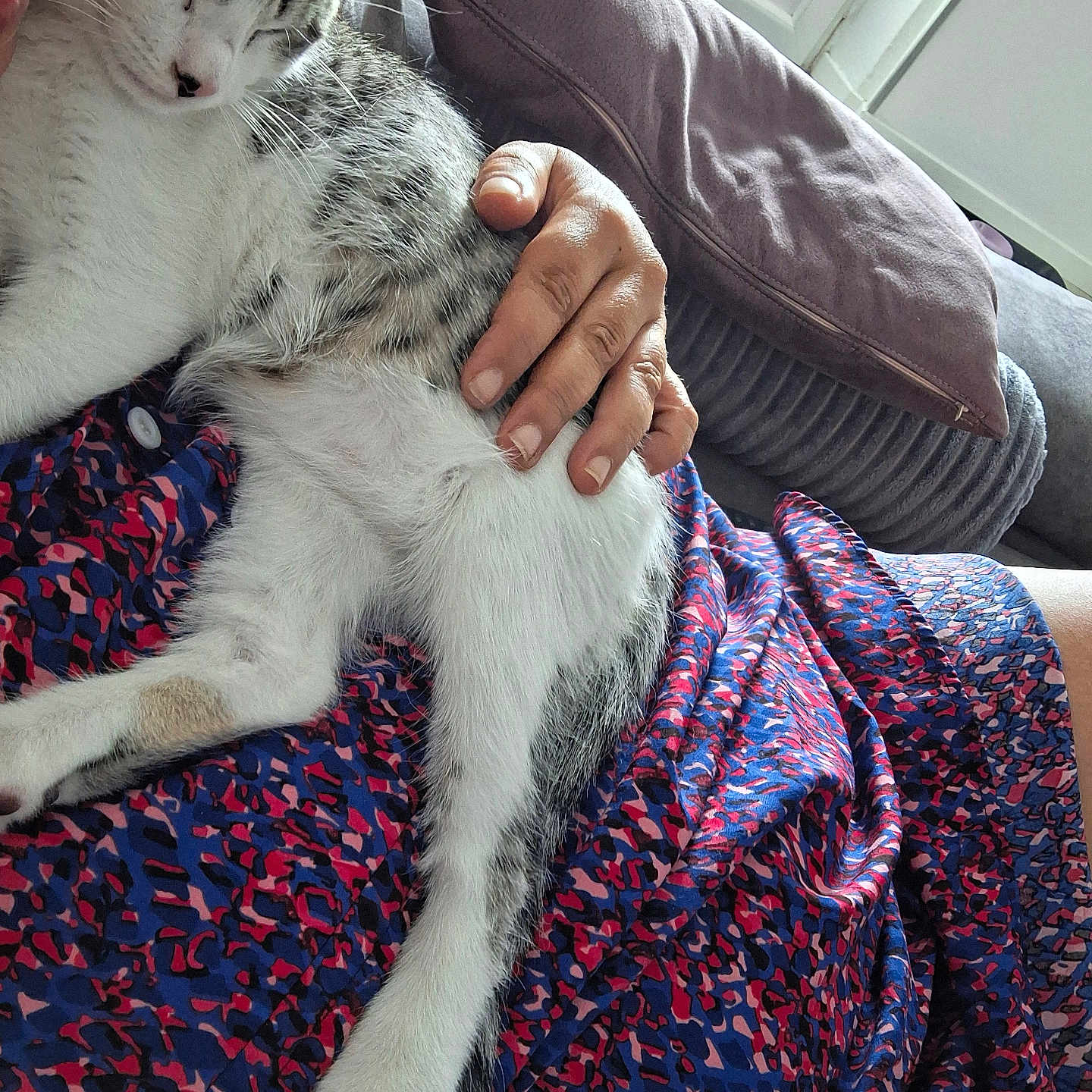Milo