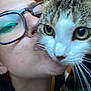 cat, tabby_cat, person, glasses, kiss, close_up, indoor, whiskers, face, pet, animal, affection, blurred_background, eyes, head, love, cozy, portrait, human, feline