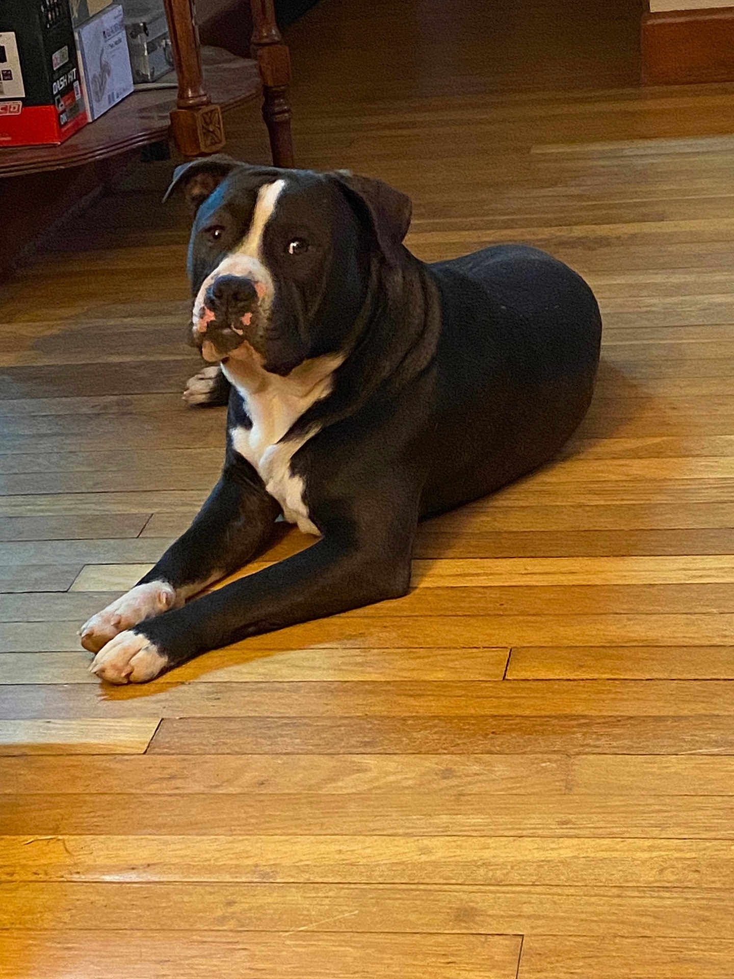 Zoe