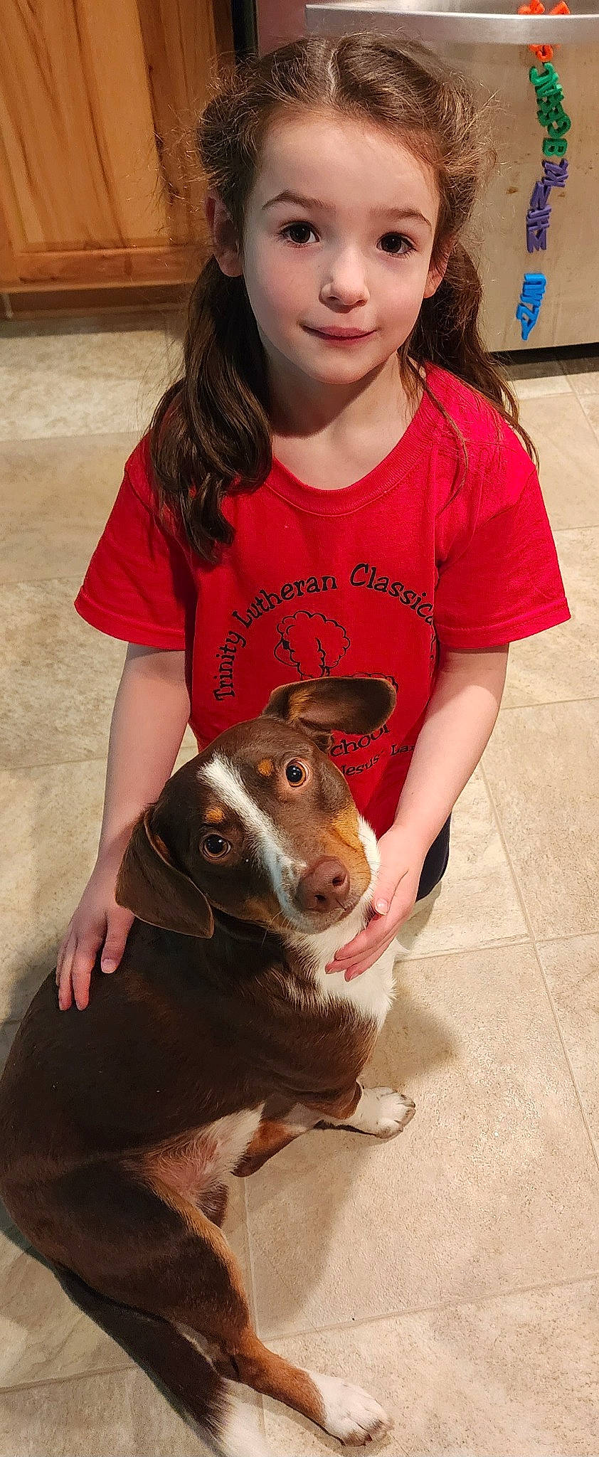 Freya is registered to the contest to win money with this photo: canidae, carnivore, companion_dog, dog, dog_breed, ear, facial_expression, fawn, fun, happy, mouth, nose, organ, person, skin, sleeve, snout, sporting_group, t_shirt, toddler