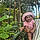 Kalycia