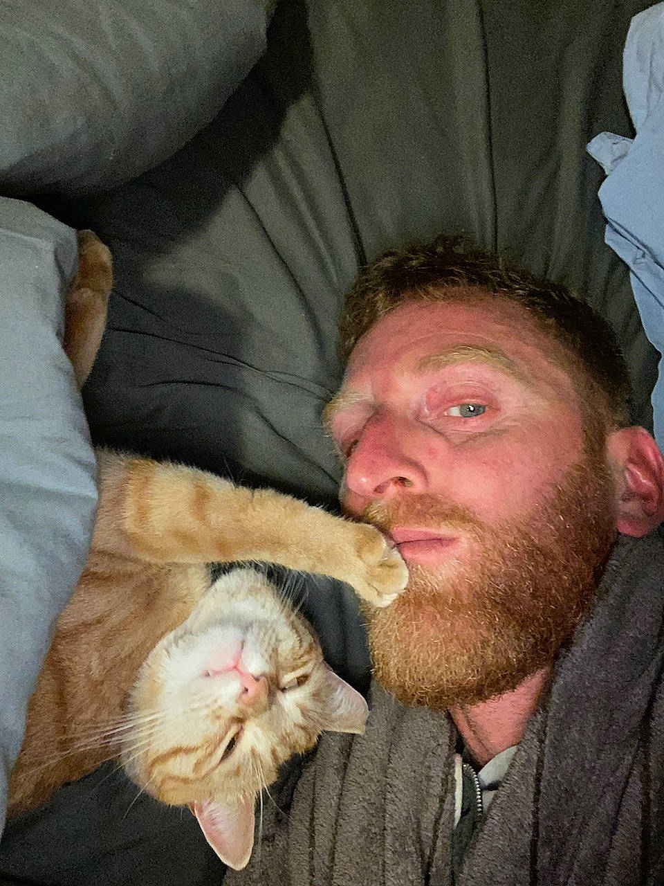 Cannelle participe au concours pour gagner de l'argent avec cette photo : beard, carnivore, cat, comfort, companion_dog, domestic_short_haired_cat, ear, facial_hair, fawn, felidae, fur, gesture, lap, moustache, mouth, nose, paw, selfie, small_to_medium_sized_cats, whiskers