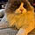 Minou