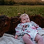 baby, infant, calf, animal, grass, outdoor, field, blanket, nature, portrait, child, cute, resting, pigtails, floral_clothing, farm, peaceful, sunset, greenery, relaxation